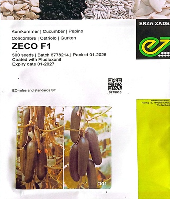 خيار هجين زيكو 500 بذرة انذا زادن - Zico 500 hybrid cucumber seeds, Enza Zaden