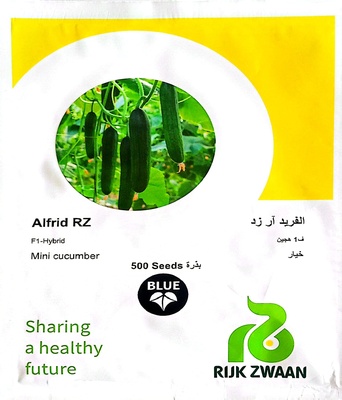 بذور خيار ألفريد آر زد هجين F1 – Alfrid RZ Hybrid Cucumber Seeds
