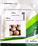بذور بصل ابيض هجين سيمينس 100 جرام - Siemens hybrid white onion seeds 100g