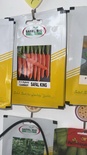 بذور جزر زراعه مكشوفه