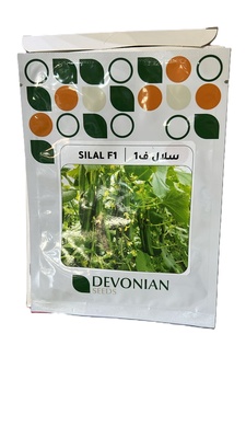 خيار سلال هجين امريكي - American hybrid basket cucumber