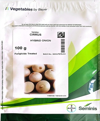 بذور بصل ابيض هجين سيمينس 100 جرام - Siemens hybrid white onion seeds 100g